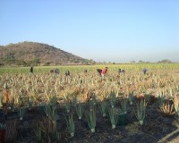 /album/galeria/img5-2-jpg/